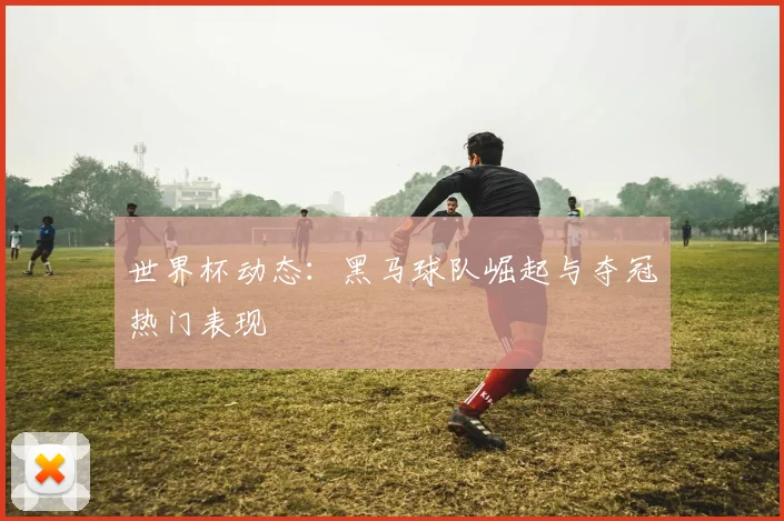 世界杯动态：黑马球队崛起与夺冠热门表现
