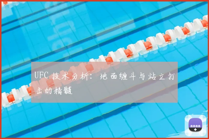 UFC 技术分析：地面缠斗与站立打击的精髓