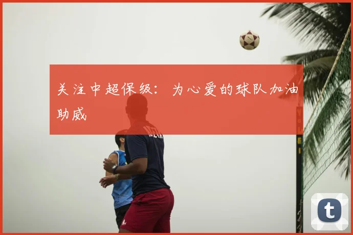 关注中超保级:为心爱的球队加油助威