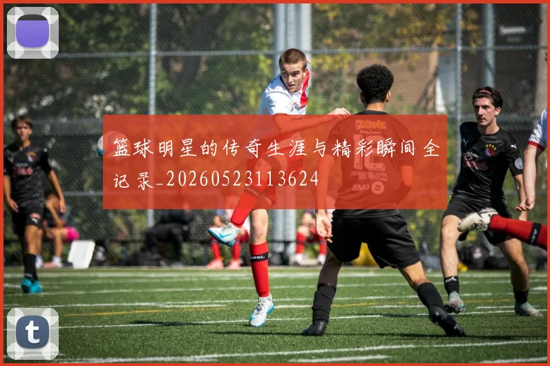 篮球明星的传奇生涯与精彩瞬间全记录_20260523113624